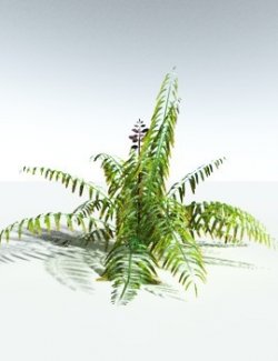 EVERYPlant Mangrove Fern for Vue