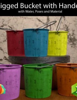 Bucket with Handle