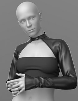 Jacket Sleeve and Top 09v G9