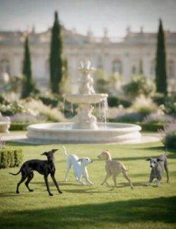 Instant Extras- Animals- Italian Greyhounds Vol 1