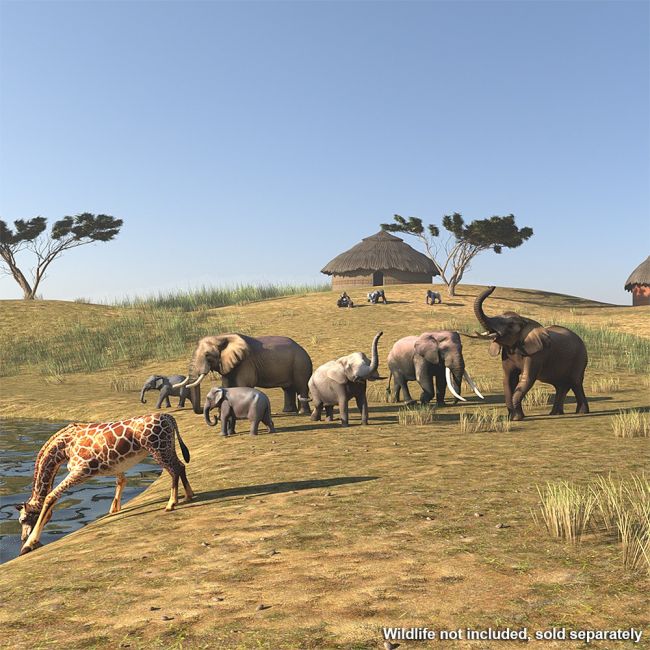 Click here to see preview images for "African Savannah for Daz Studio" African Savannah for Daz Studio