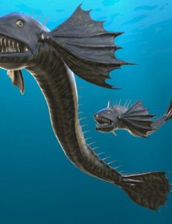 Midnight Barracuda Demon