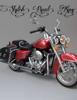 A3S P-Bike Model