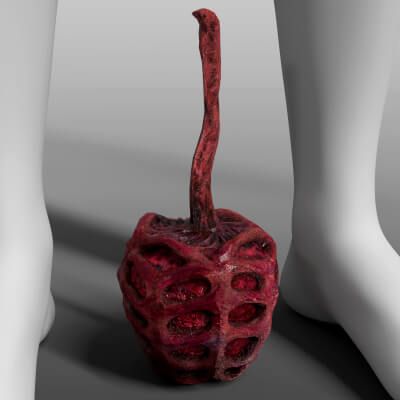 Click here to see preview images for "Daz3D DMC Qliphoth Fruit Prop for G9" Daz3D DMC Qliphoth Fruit Prop for G9