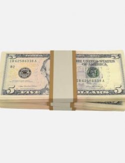 Packs of 5 Dollar Bills for DAZ