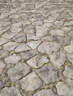 Medieval Rough Stone Pavers Floor Daz