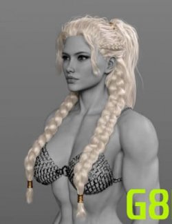 IIIDM Shieldmaiden Hair for Genesis 8 Female