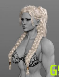 IIIDM Shieldmaiden Hair for Genesis 9