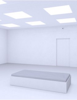 The White Room