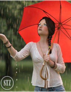 STZ Rainy Serenade