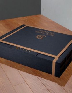 Biometric Pistol Safe