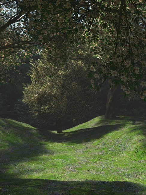 Click here to see preview images for "A Special Place" A Special Place
