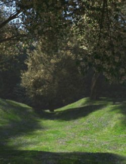 A Special Place